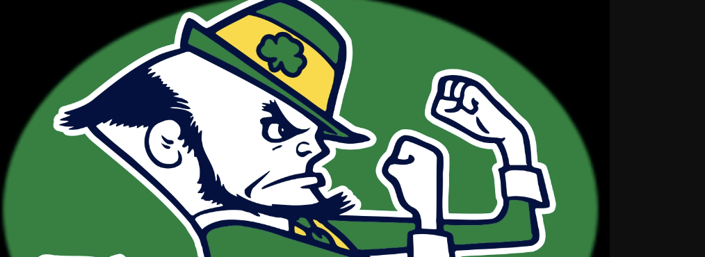 Ireland: 19 Arrested After Anti-Invader Protest in Dublin